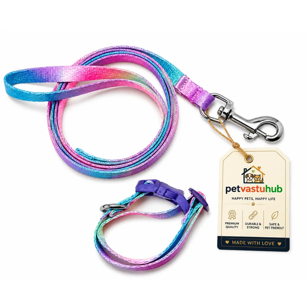 Cute Adjustable Nylon Puppy Dog Collar & Leash Set (15mm - Orange with Bone Print)