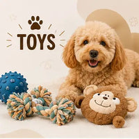 TOYS