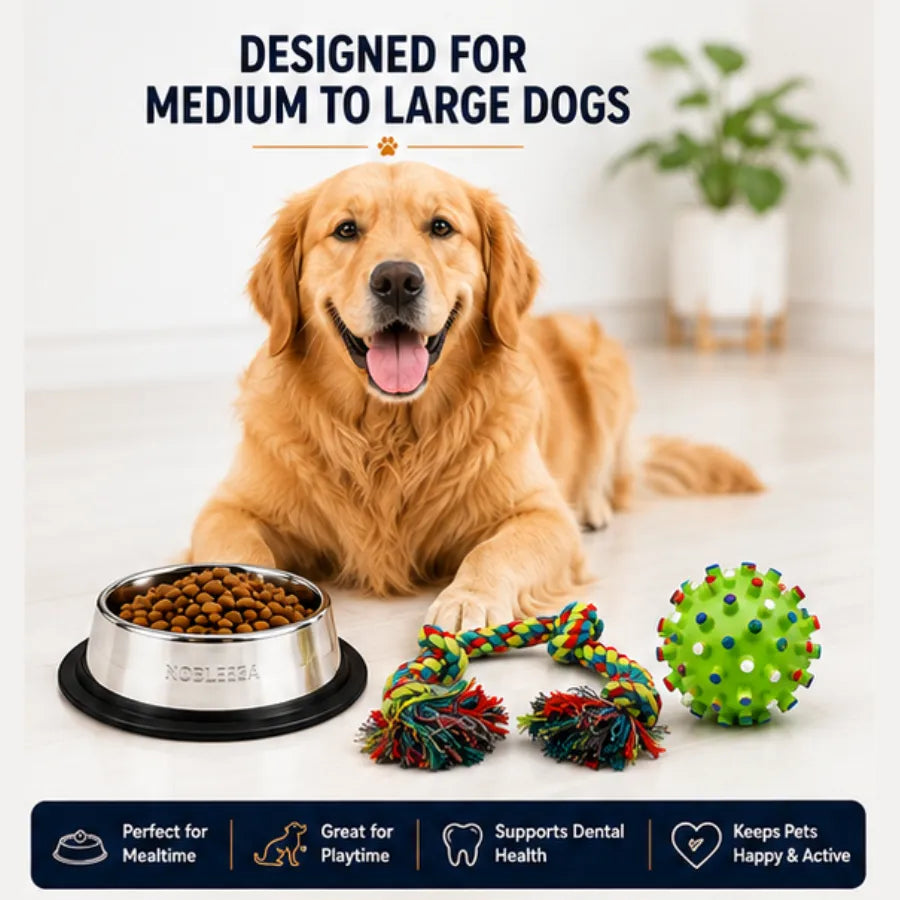 PetVastuHub Durable Dine & Play Pack - 700ml Steel Bowl & 5-Knot Rope Toy