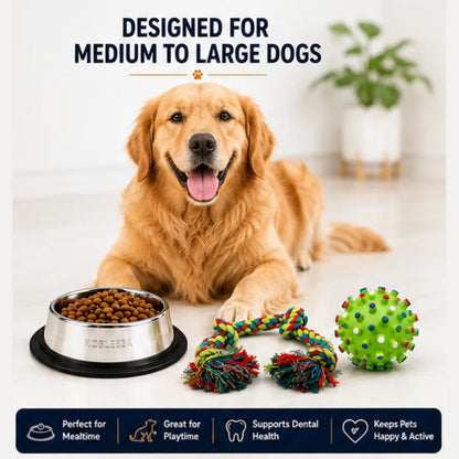 PetVastuHub Durable Dine & Play Pack - 700ml Steel Bowl & 5-Knot Rope Toy