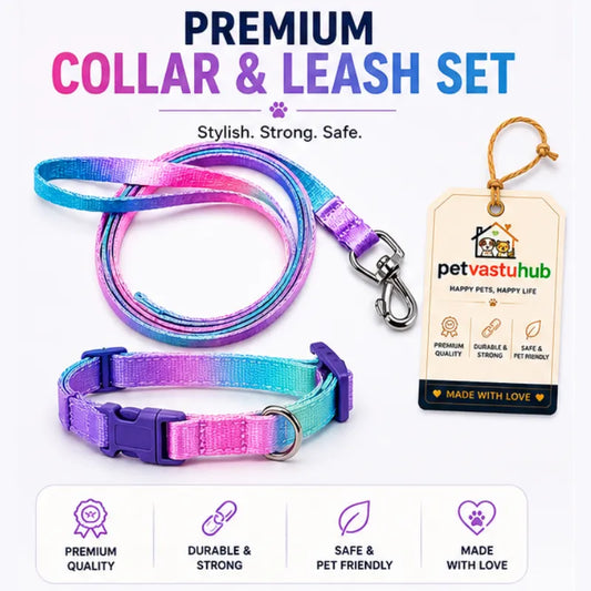 Cute Adjustable Nylon Puppy Dog Collar & Leash Set (15mm - Orange with Bone Print)