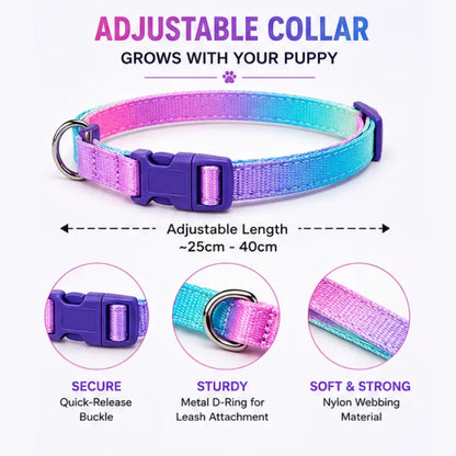 Cute Adjustable Nylon Puppy Dog Collar & Leash Set (15mm - Orange with Bone Print)