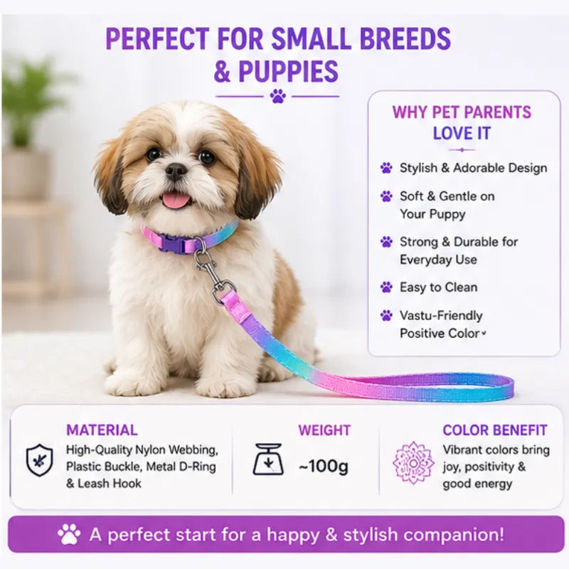 Cute Adjustable Nylon Puppy Dog Collar & Leash Set (15mm - Orange with Bone Print)