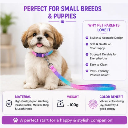Cute Adjustable Nylon Puppy Dog Collar & Leash Set (15mm - Orange with Bone Print)
