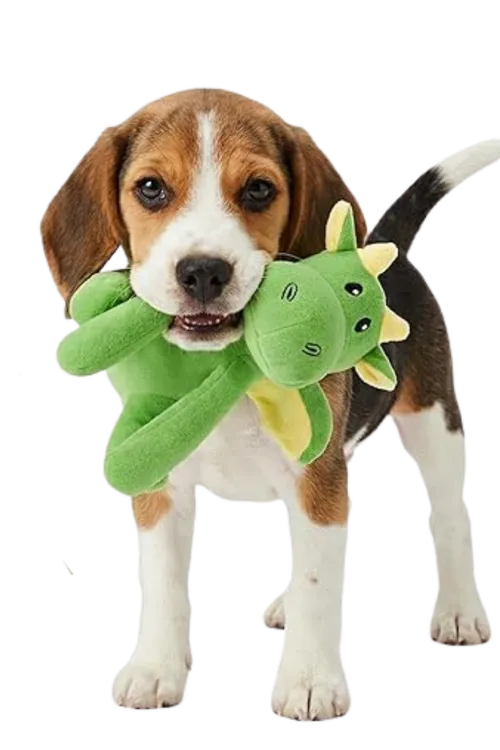  Pet Plush Toy 