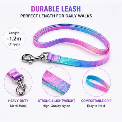 Cute Adjustable Nylon Puppy Dog Collar & Leash Set (15mm - Orange with Bone Print)