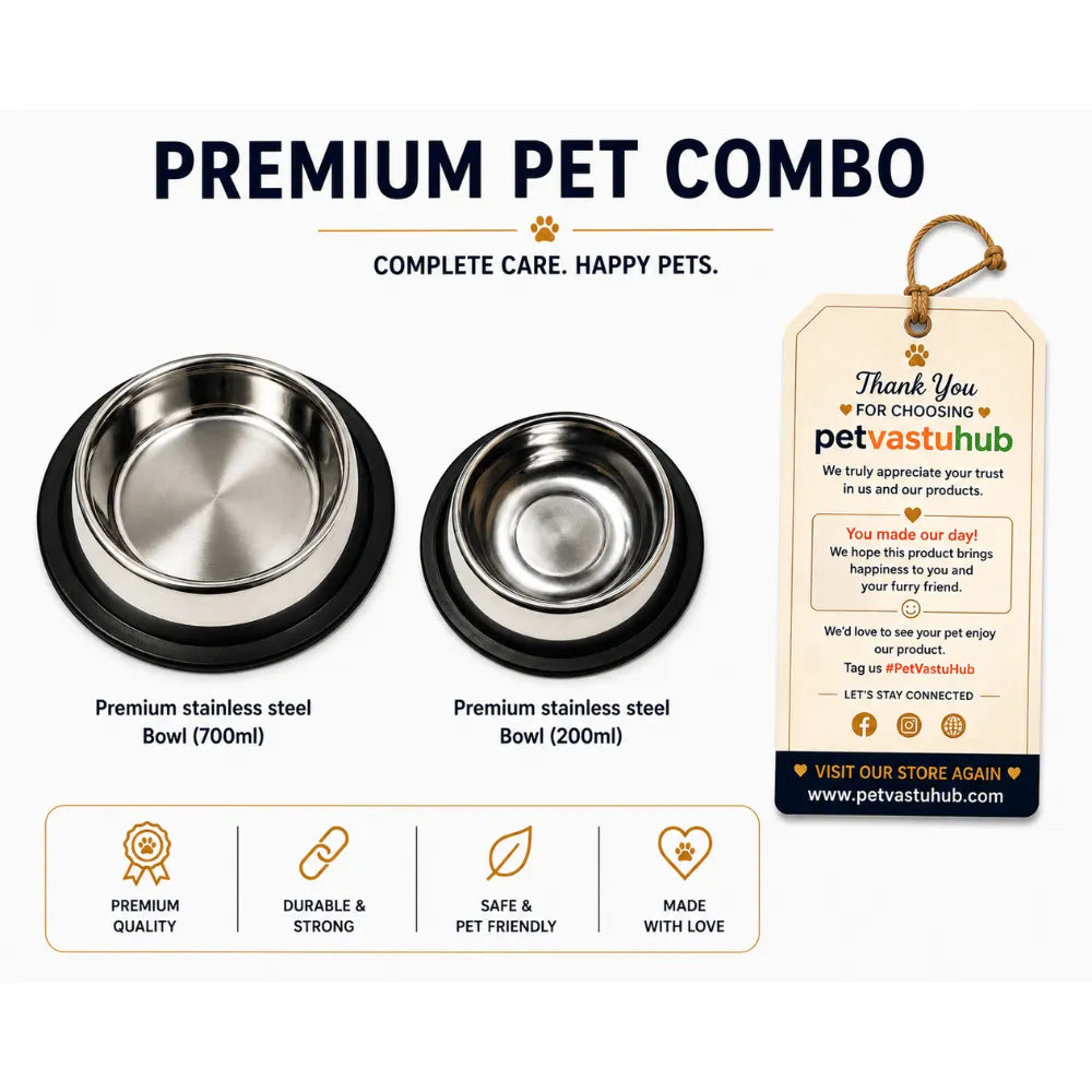 PetVastuHub Complete Dine-in Deal - Dual Stainless Steel Bowls (700ml & 200ml)