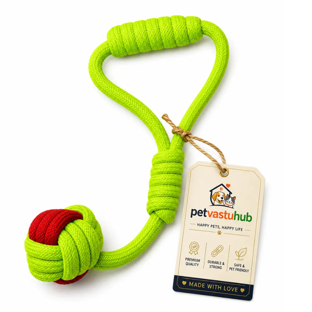 Durable Cotton Rope Single Knot Tug & Chew Toy for Dogs (Lime Green)