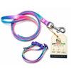 Cute Adjustable Nylon Puppy Dog Collar & Leash Set (15mm - Orange with Bone Print)