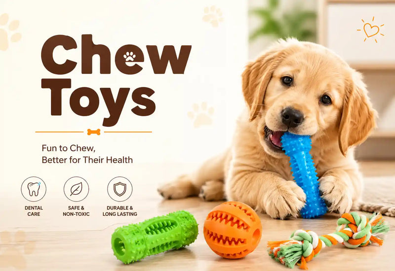 Chew Toys ➙