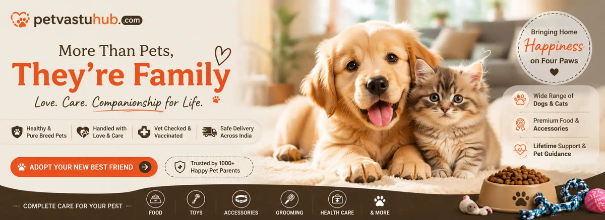 Banner slide